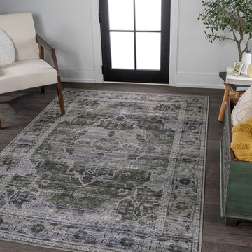Alanya Ornate Medallion Washable Area Rug